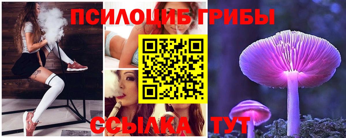 Псилоцибиновые грибы мицелий Краснодар